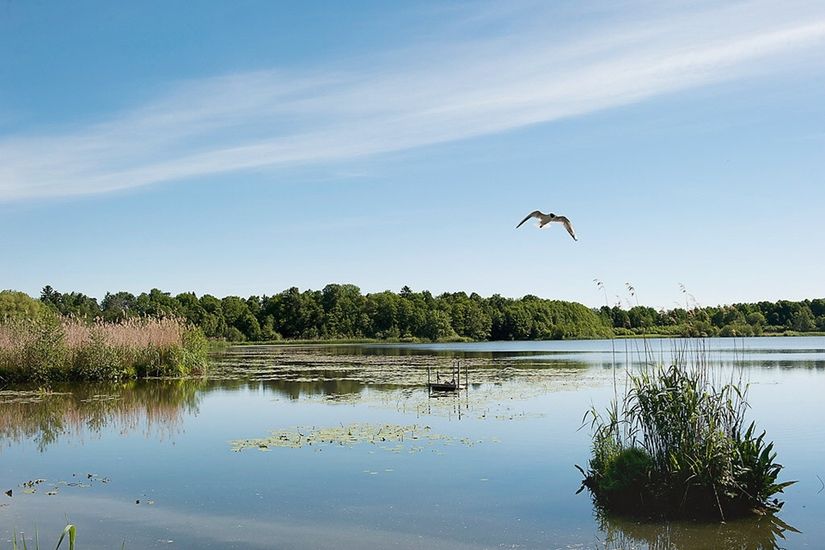 Bostadsrätt, Sommarvägen 1, vån 7/7, Vireberg, Råsunda, Solna