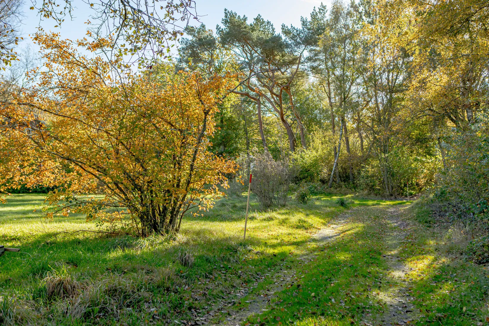 Tomt, Rodervägen 5, Ugglarp, Falkenberg