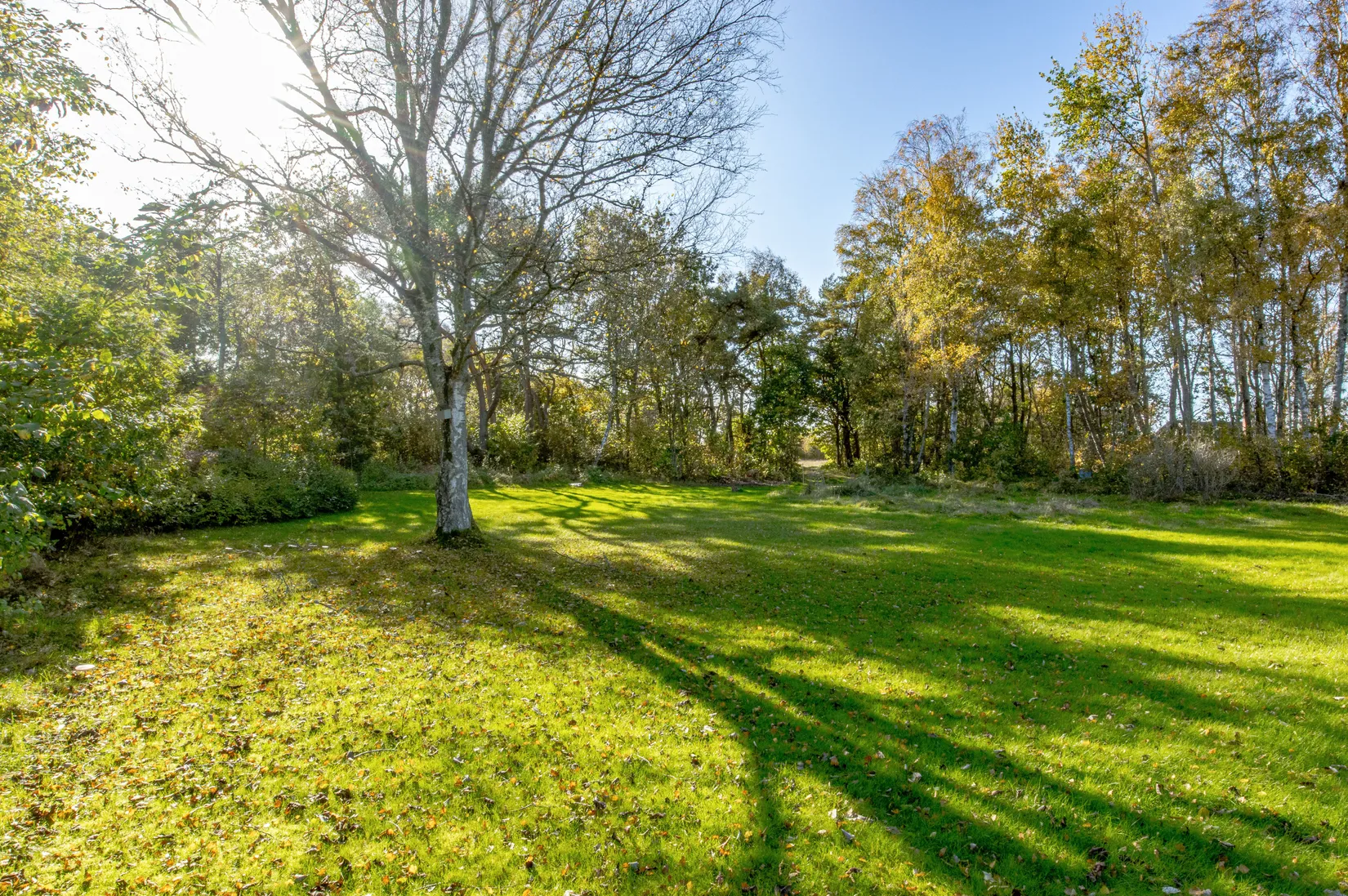 Tomt, Rodervägen 5, Ugglarp, Falkenberg