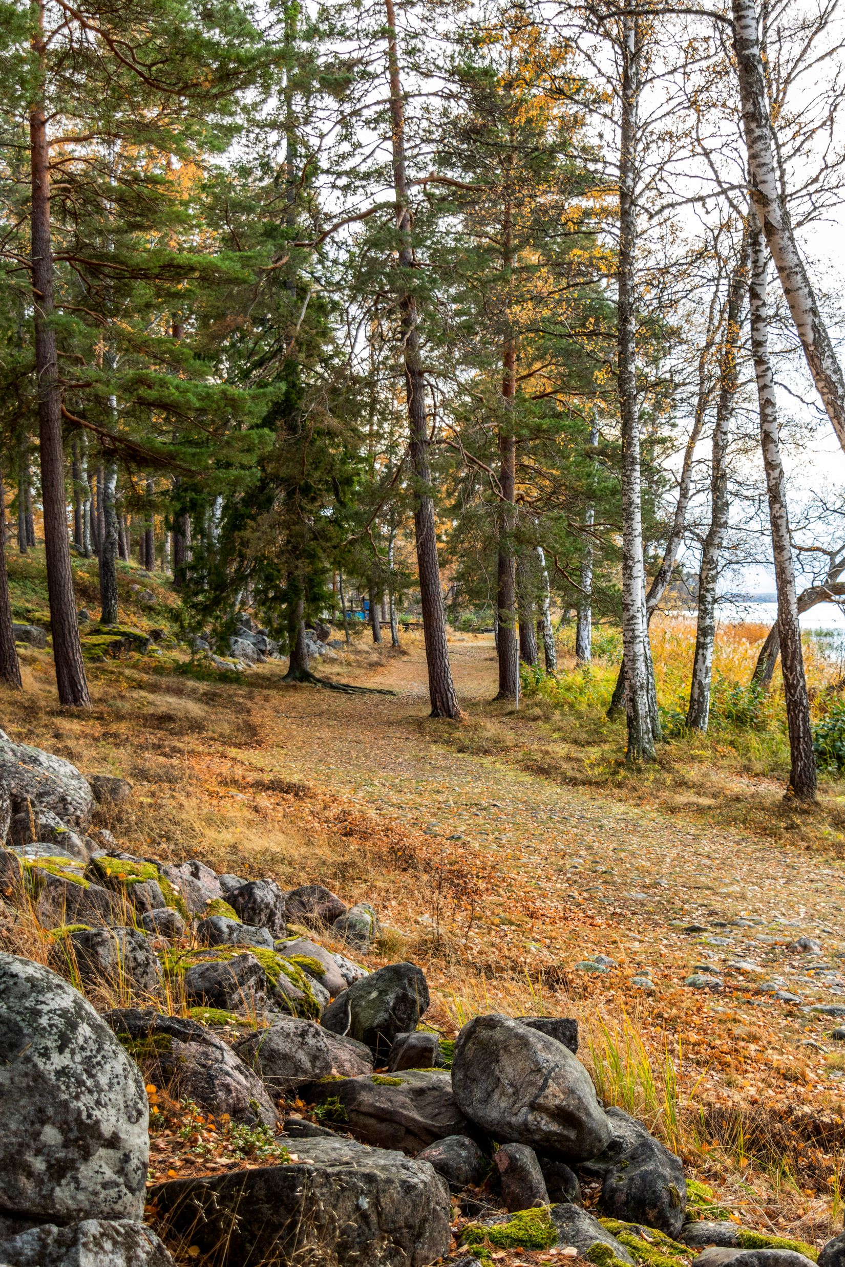 Bostadsrätt, Herrfallet, Herrfallet, Eskilstuna