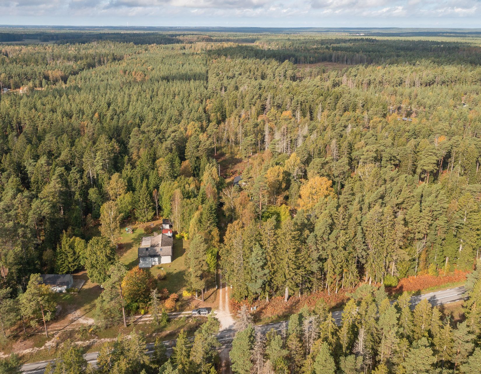 Gård/Skog, Gothem Tummungs 1:35, Gotland