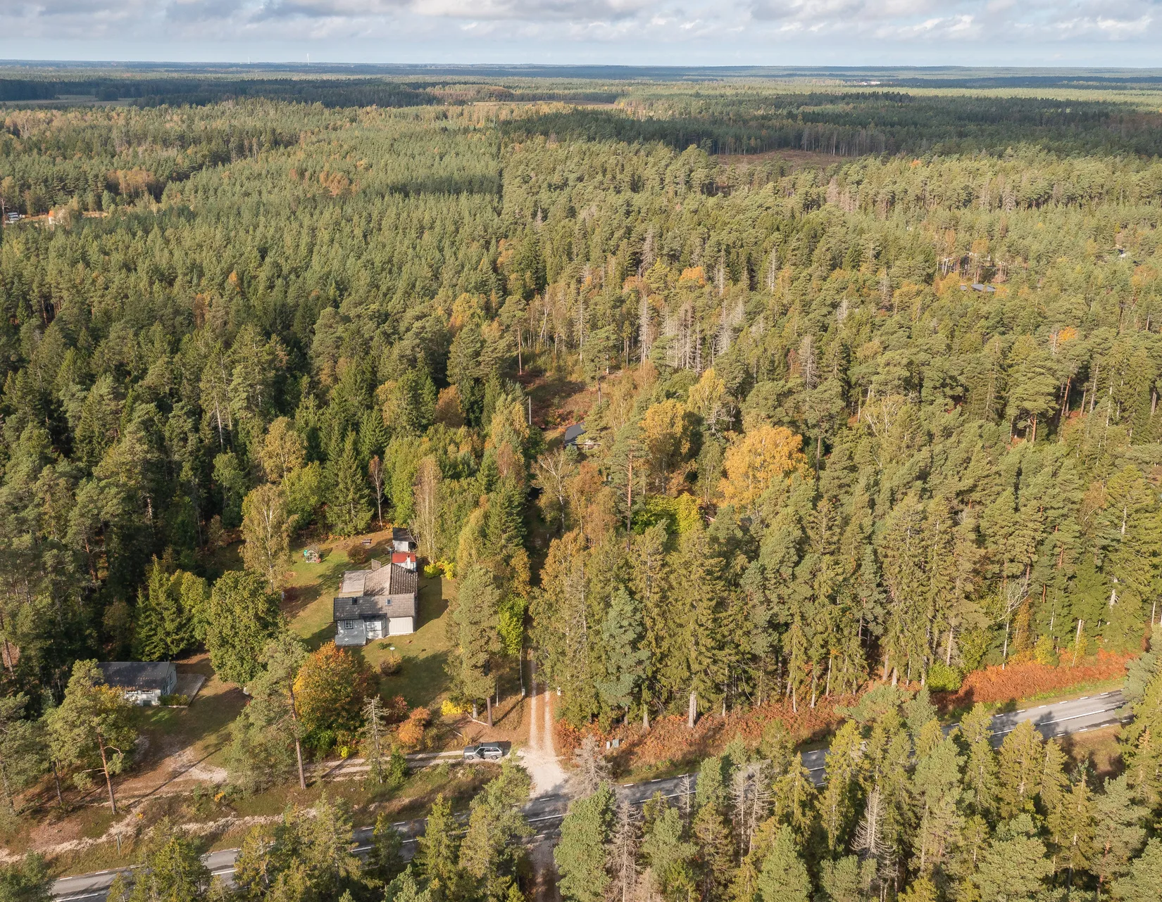 Gård/Skog, Gothem Tummungs 1:35, Gotland
