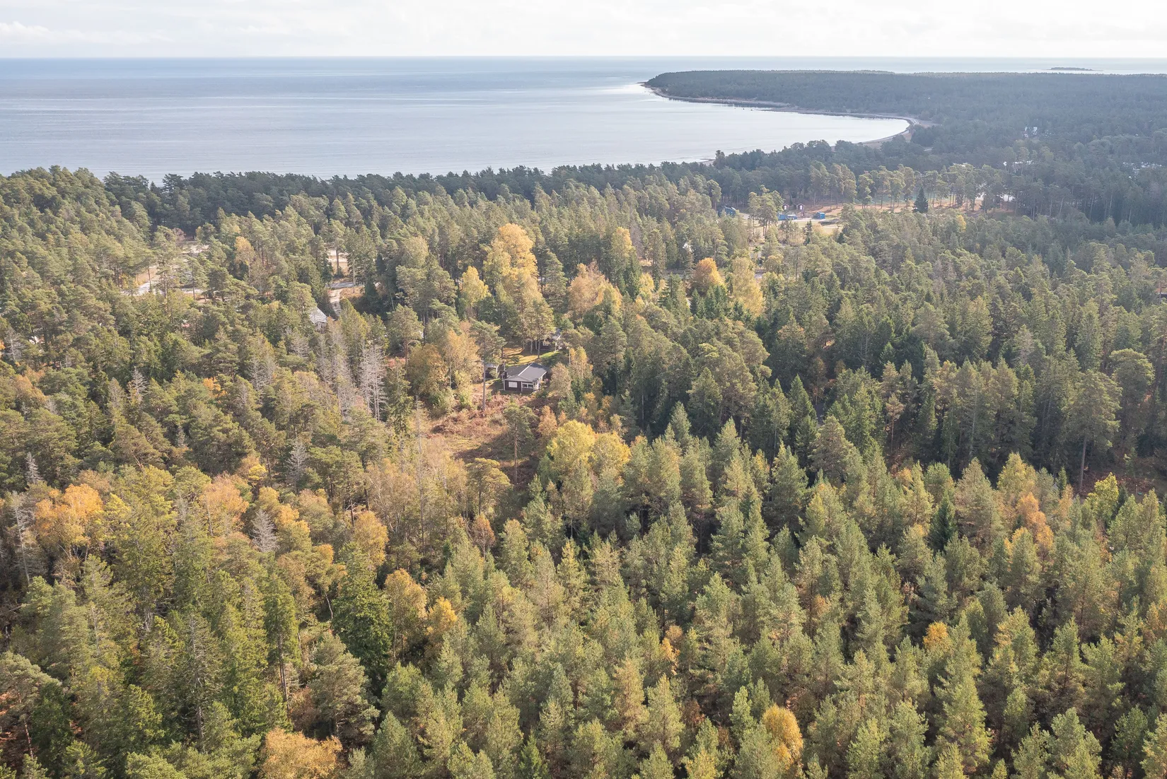 Gård/Skog, Gothem Tummungs 1:35, Gotland