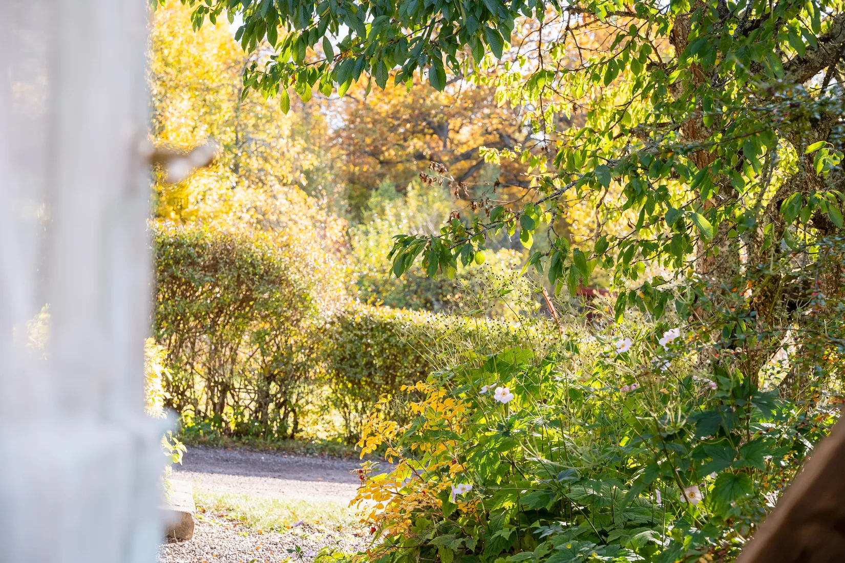 Fritidshus, Snöromsvägen 1, Kolmården, Norrköping