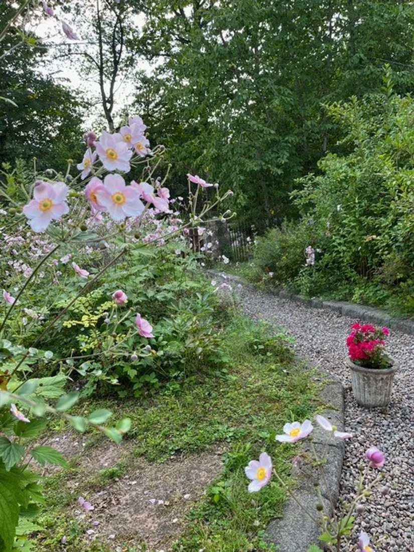 Fritidshus, Snöromsvägen 1, Kolmården, Norrköping