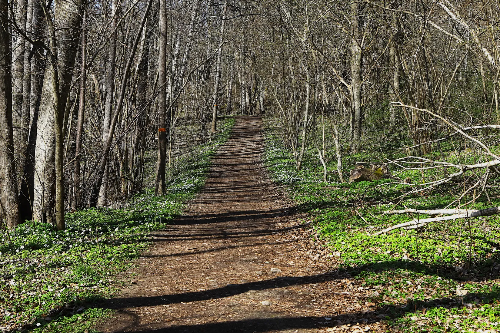 Fritidshus, Snöromsvägen 1, Kolmården, Norrköping