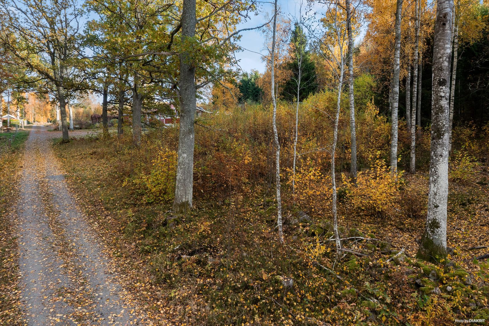 Tomt, Böksnäs 19, Karlsborg