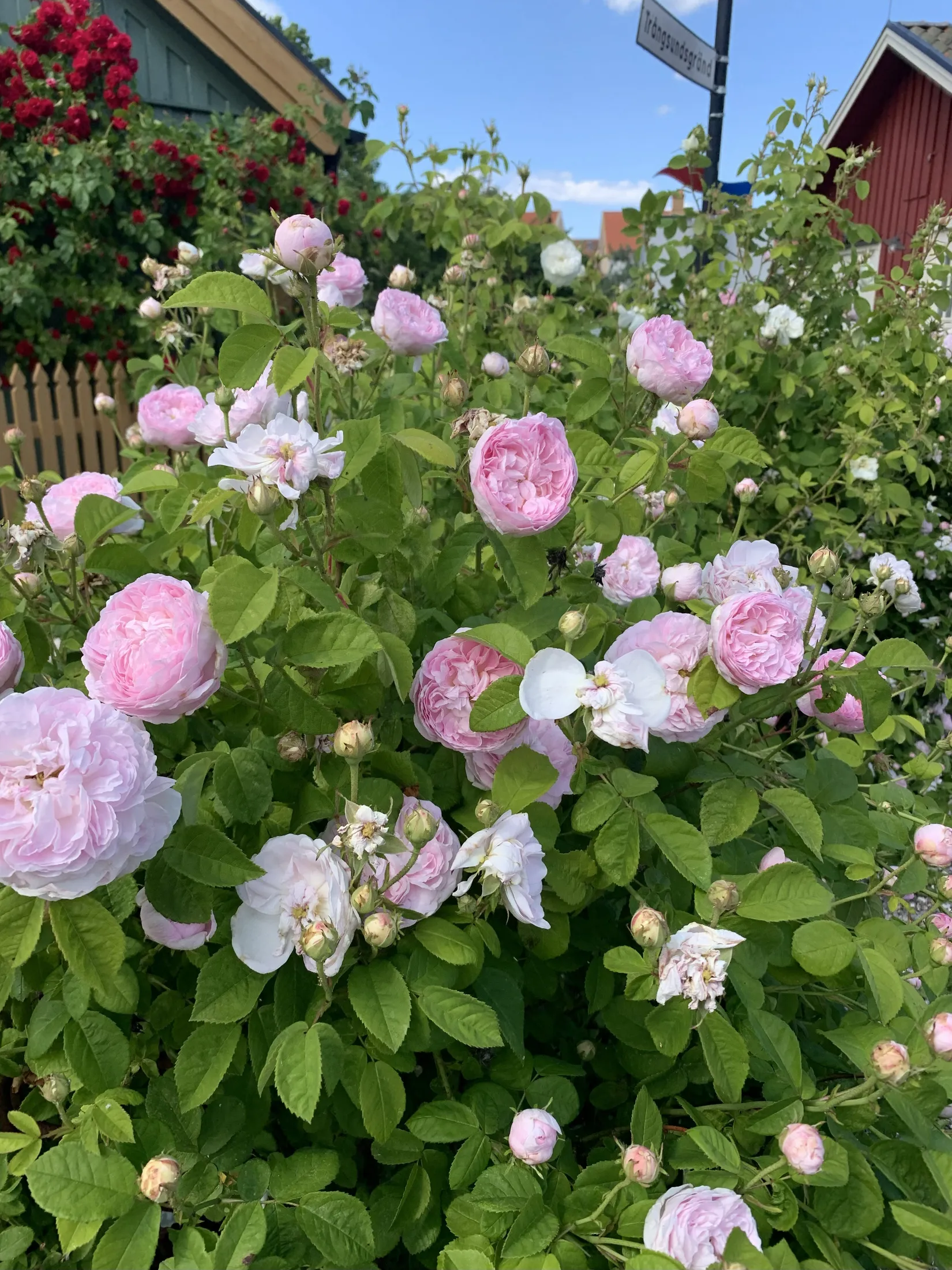 Villa, Trångsundsgränd 3, Drothem, Söderköping