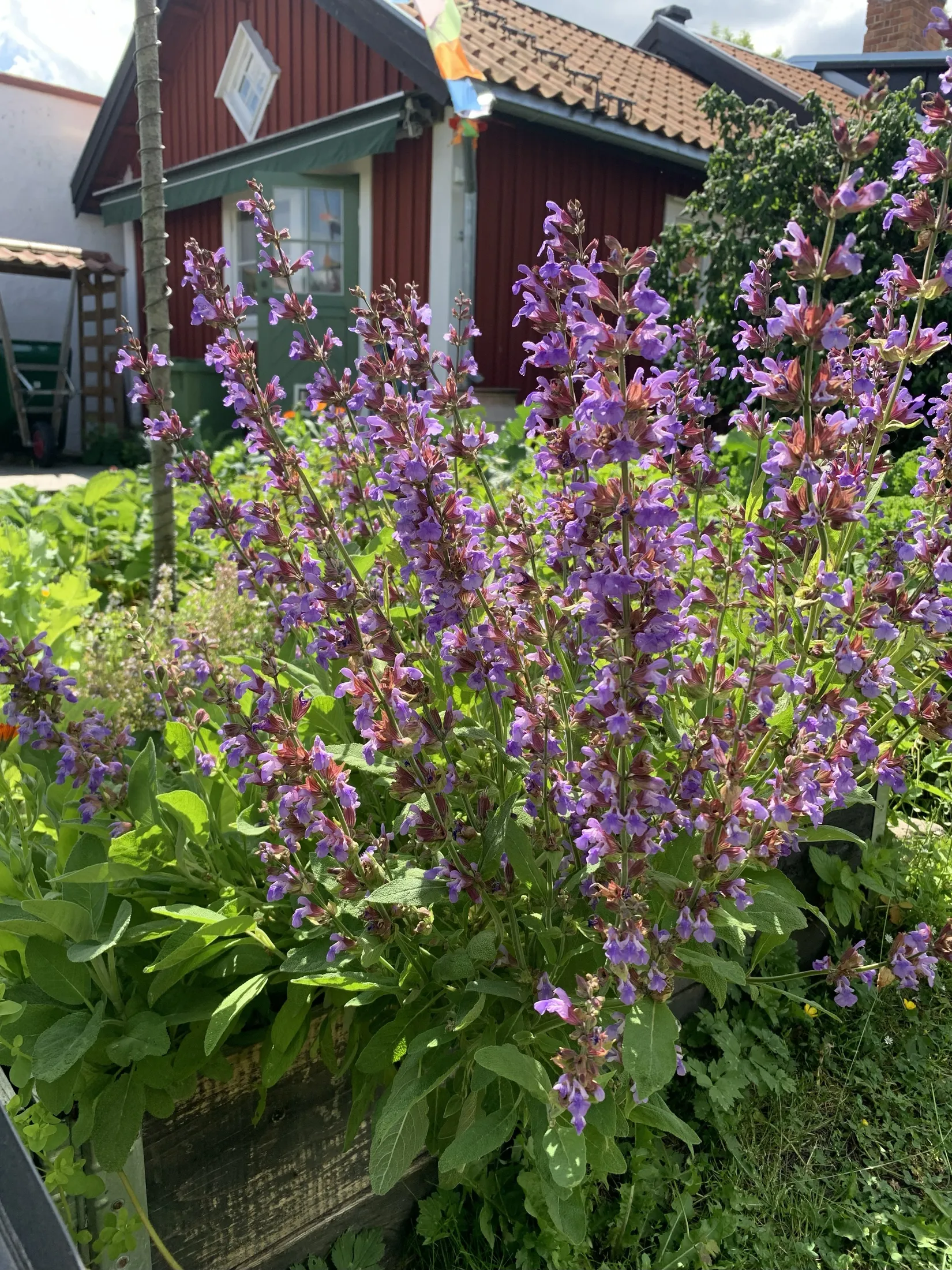 Villa, Trångsundsgränd 3, Drothem, Söderköping