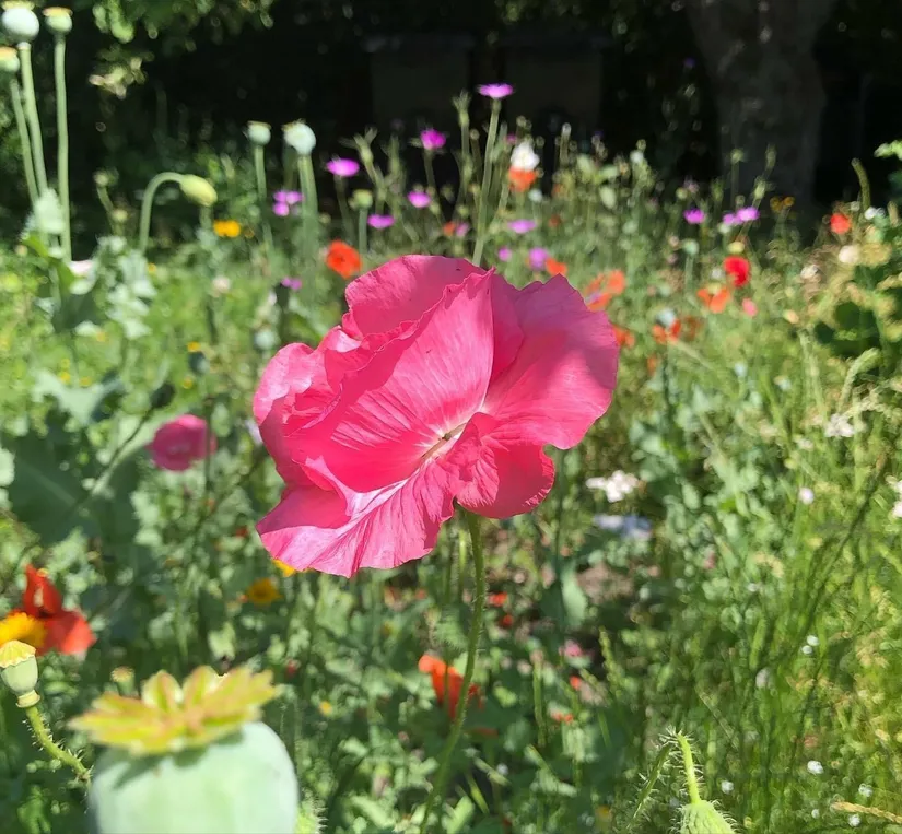 Villa, Trångsundsgränd 3, Drothem, Söderköping