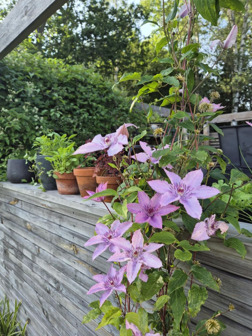 Villa, Lummergatan 1, Fjugesta, Lekeberg