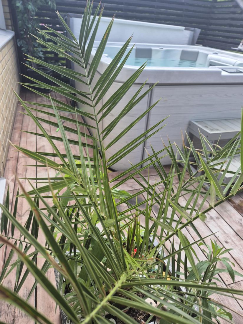 Villa, Lummergatan 1, Fjugesta, Lekeberg