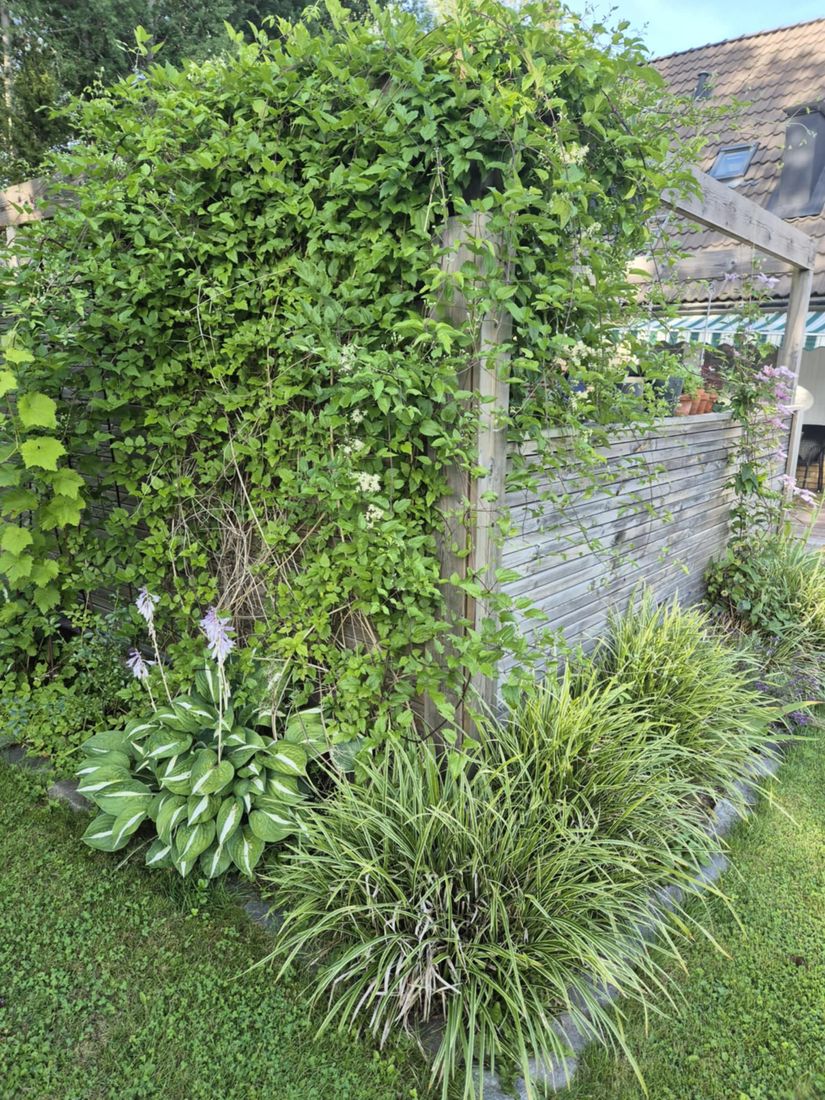 Villa, Lummergatan 1, Fjugesta, Lekeberg