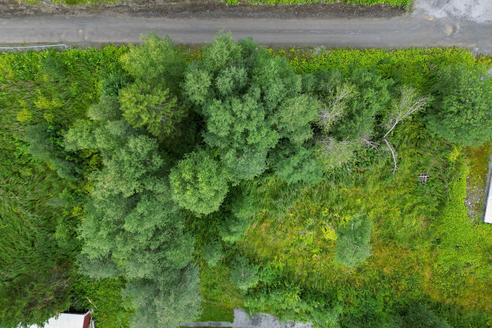 Tomt, Åre Bräcke 1:117, Tegefors, Åre