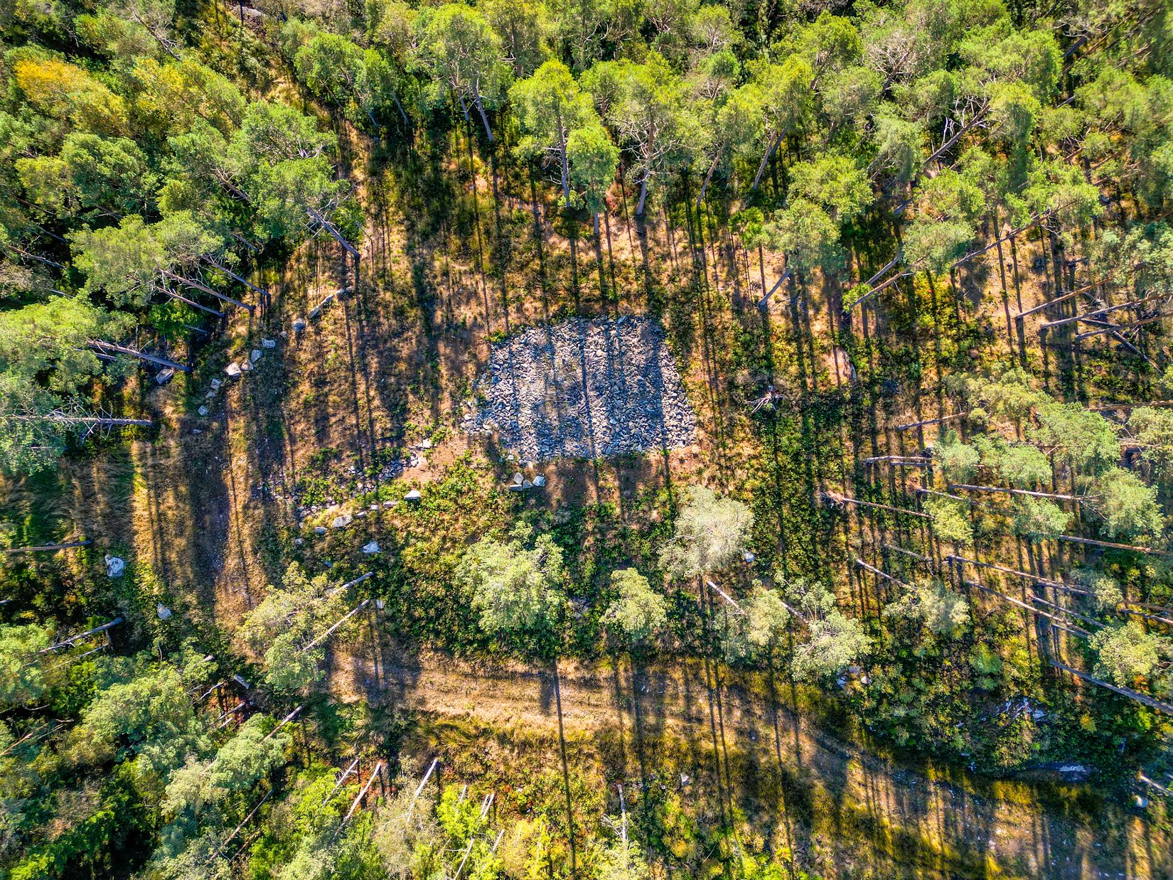 Tomt, Näs Sågebacken 3, Borås