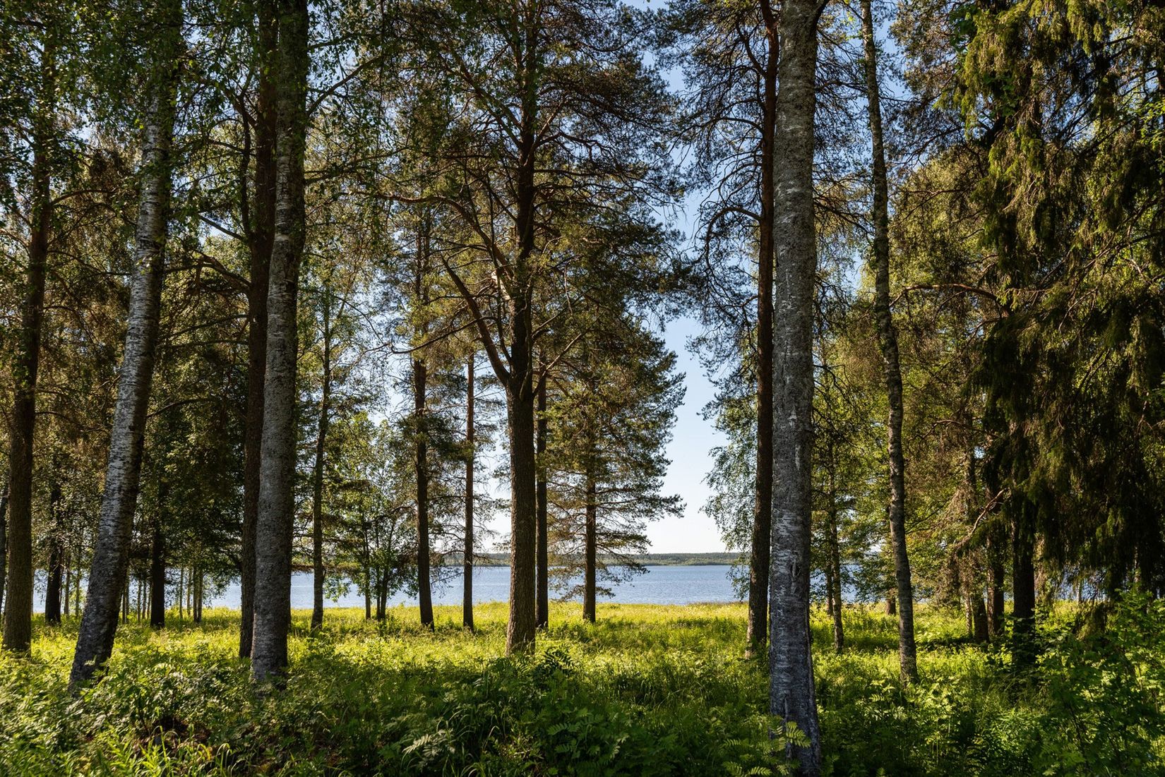 Bostadsrätt, Munkebergsgatan 66, Mjölkudden, Luleå