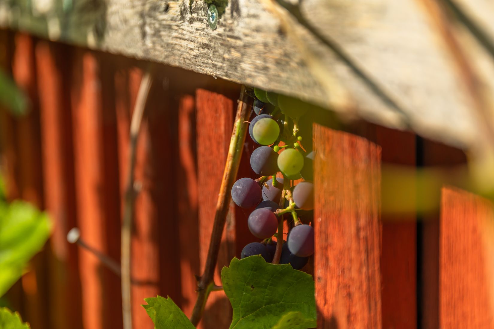 Villa, Mo 150, Mo, Degerfors