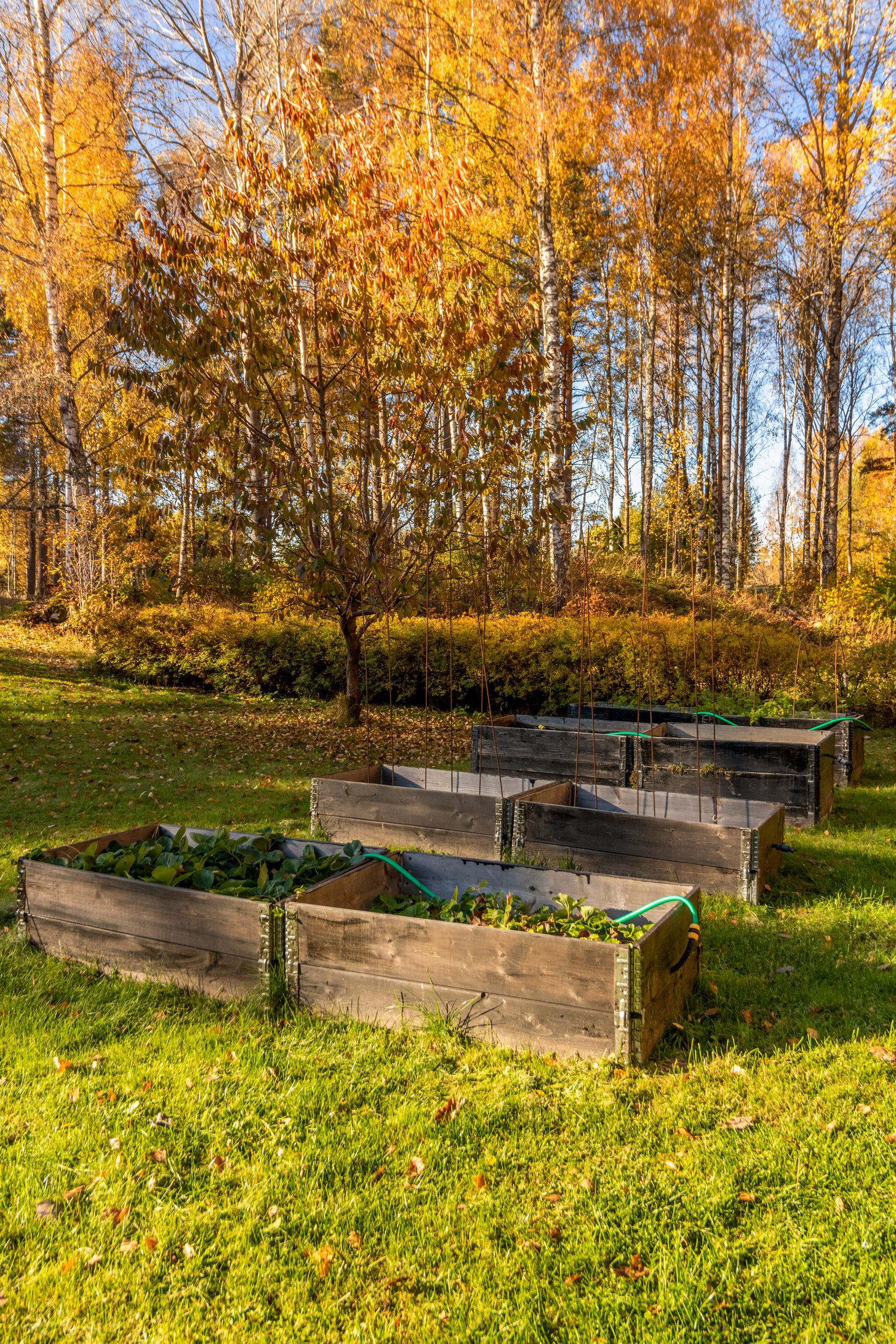 Villa, Ribbingelund Nystugan, Ribbingelund, Eskilstuna