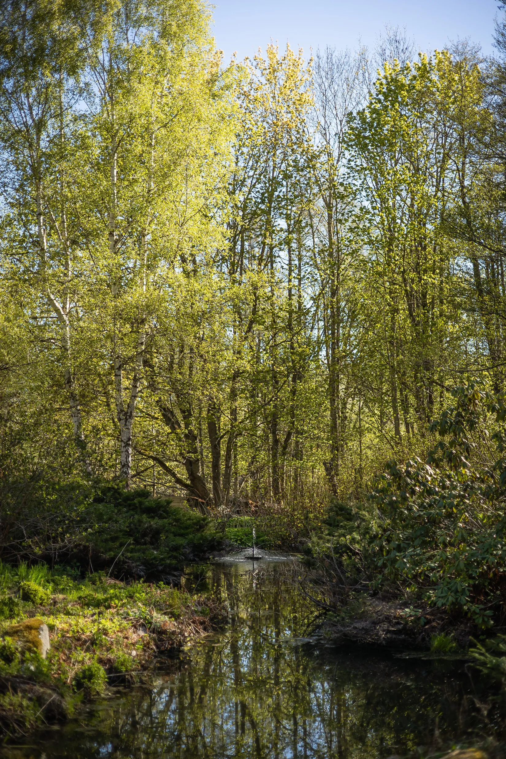 Villa, Stora Morliden 2, Ödeshög