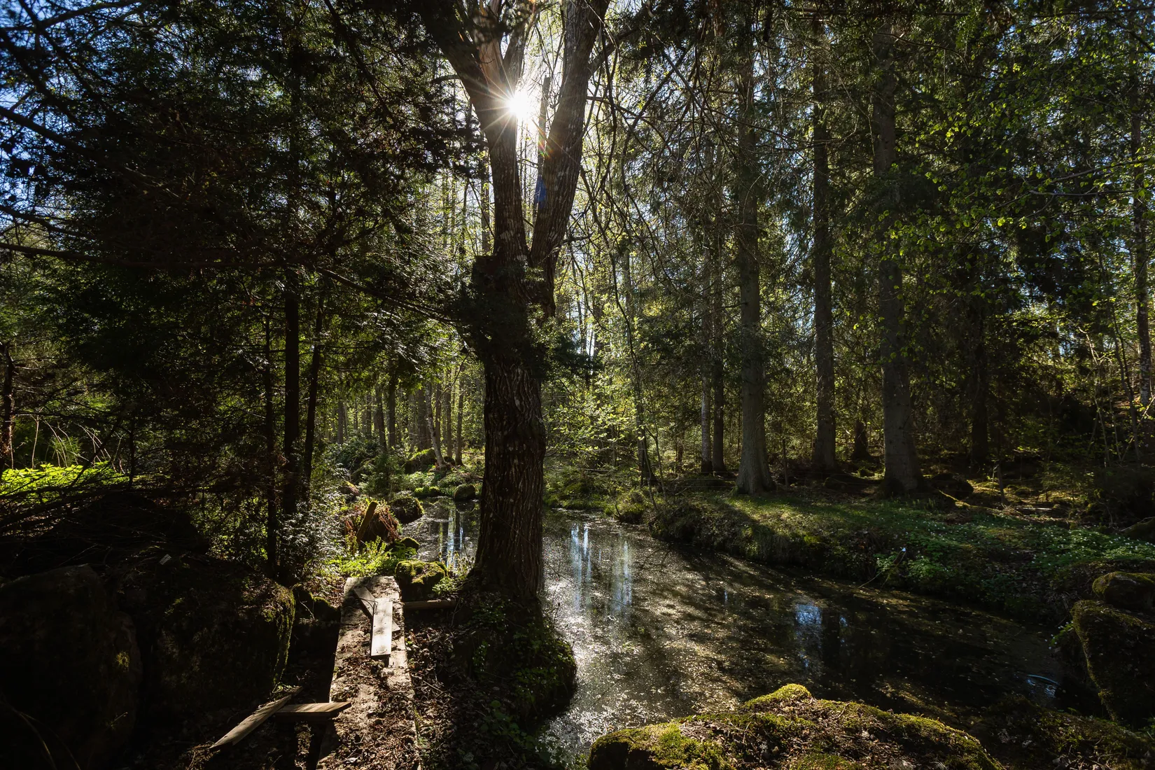 Villa, Stora Morliden 2, Ödeshög