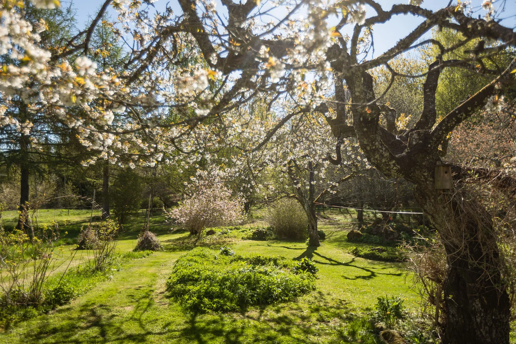 Villa, Stora Morliden 2, Ödeshög