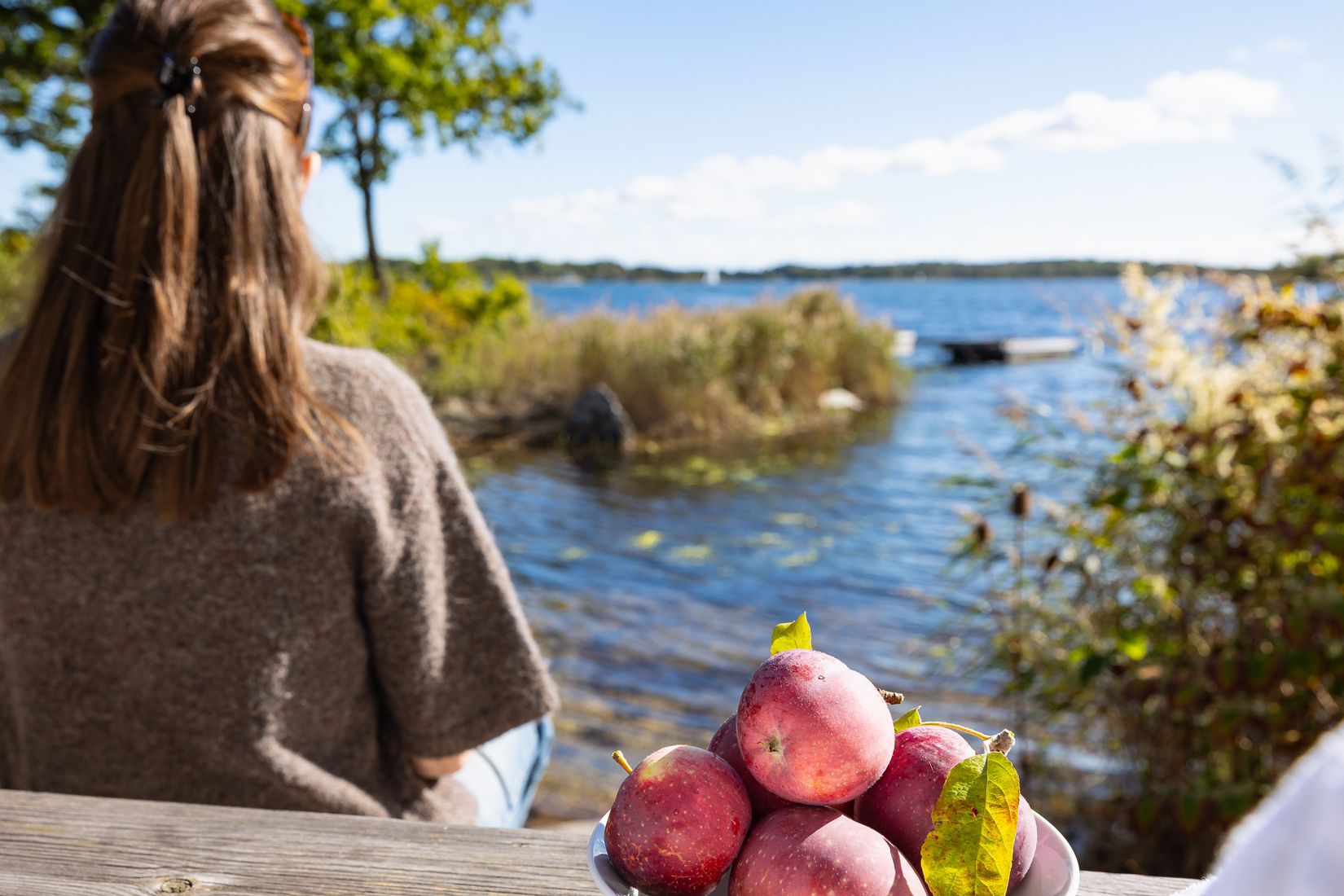 Villa, Ekenäsvägen 60, Ekenäs, Ronneby