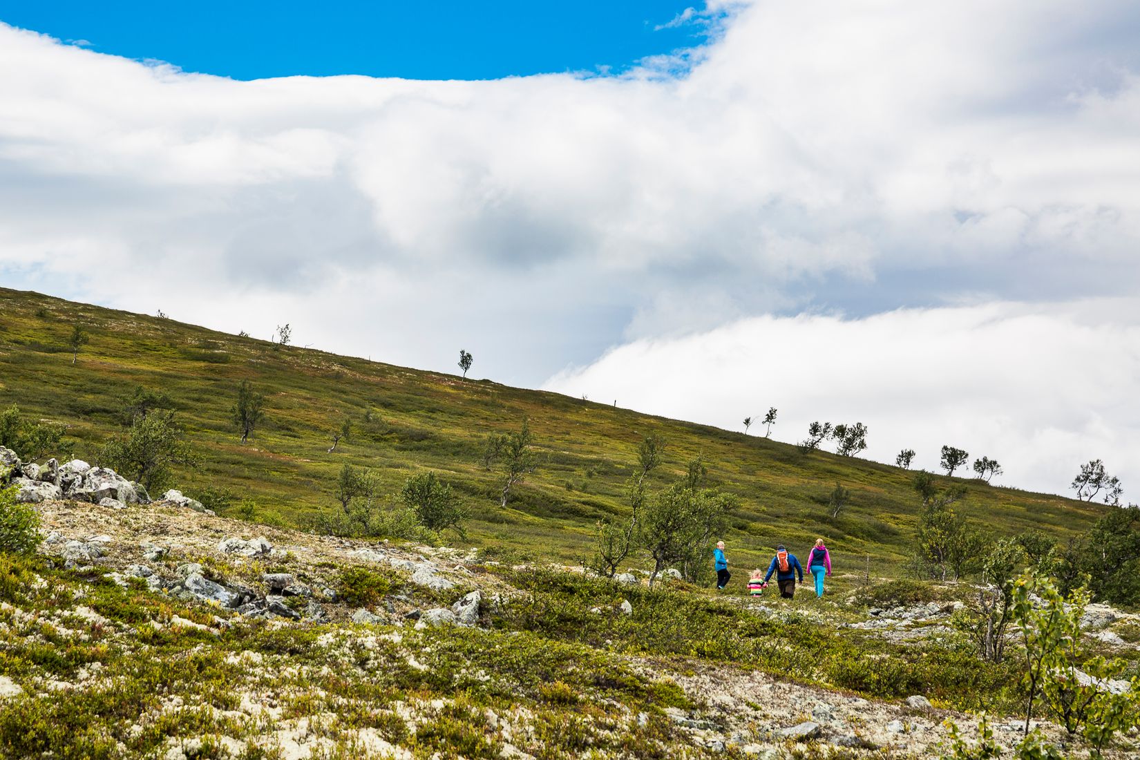 Bostadsrätt, Smultronvägen 9, Härjedalen