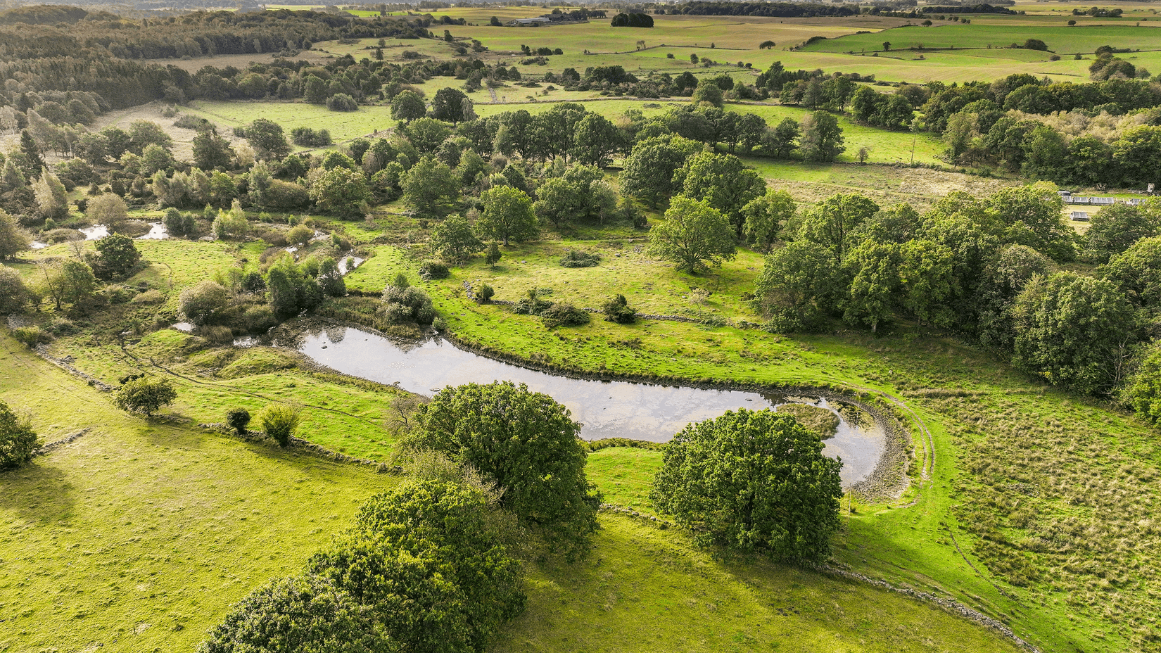 Gård/Skog, Eljaröd 4701, Tomelilla