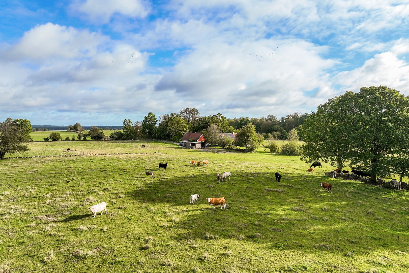 Gård/Skog, Eljaröd 4701, Tomelilla