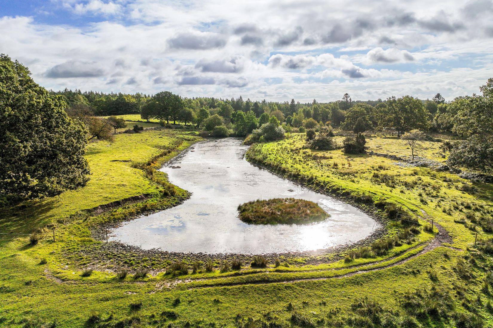 Gård/Skog, Eljaröd 4701, Tomelilla