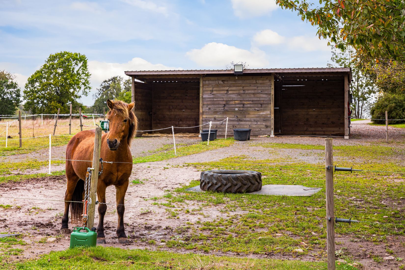 Gård/Skog, Eljaröd 4701, Tomelilla