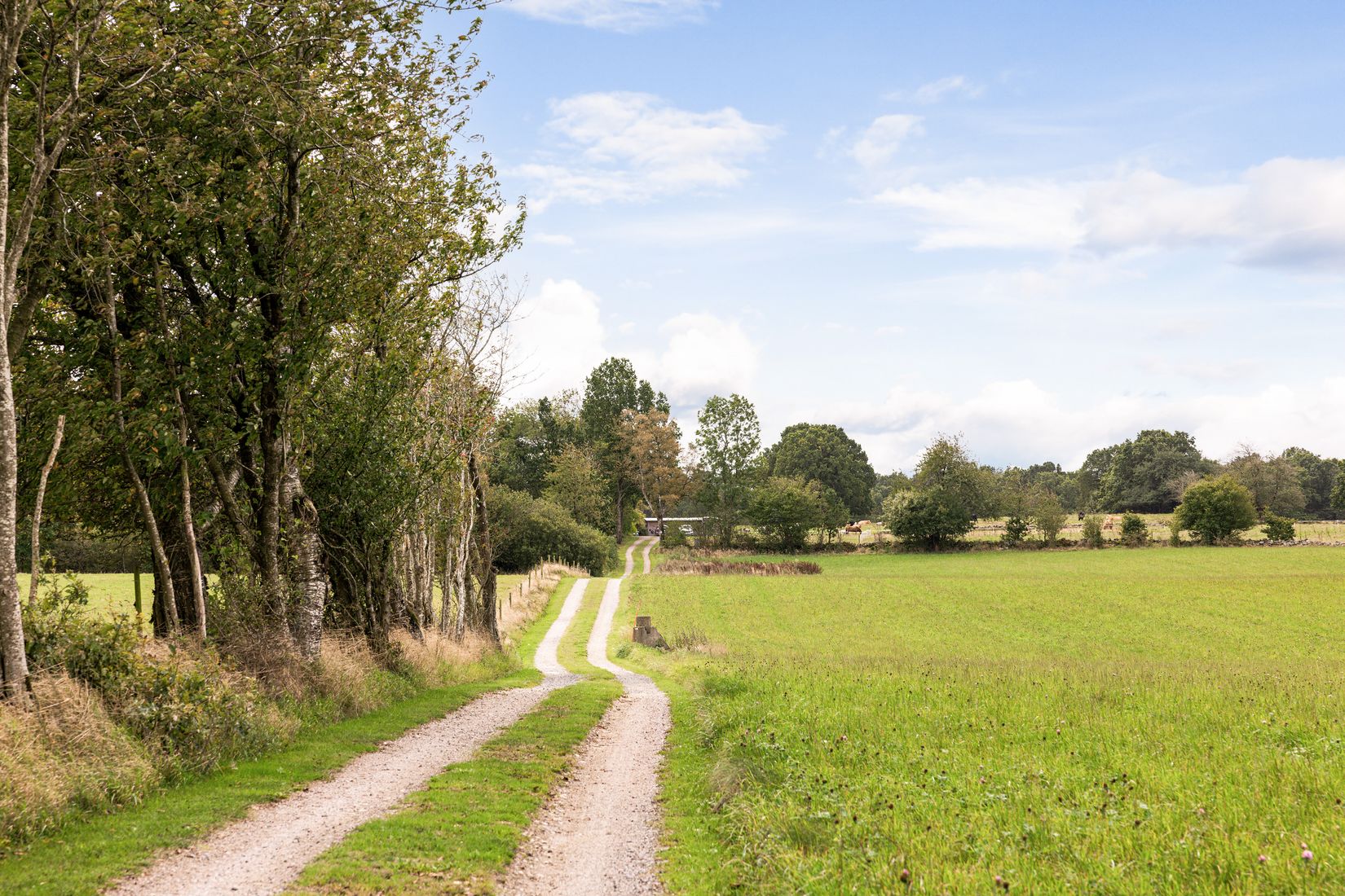 Gård/Skog, Eljaröd 4701, Tomelilla