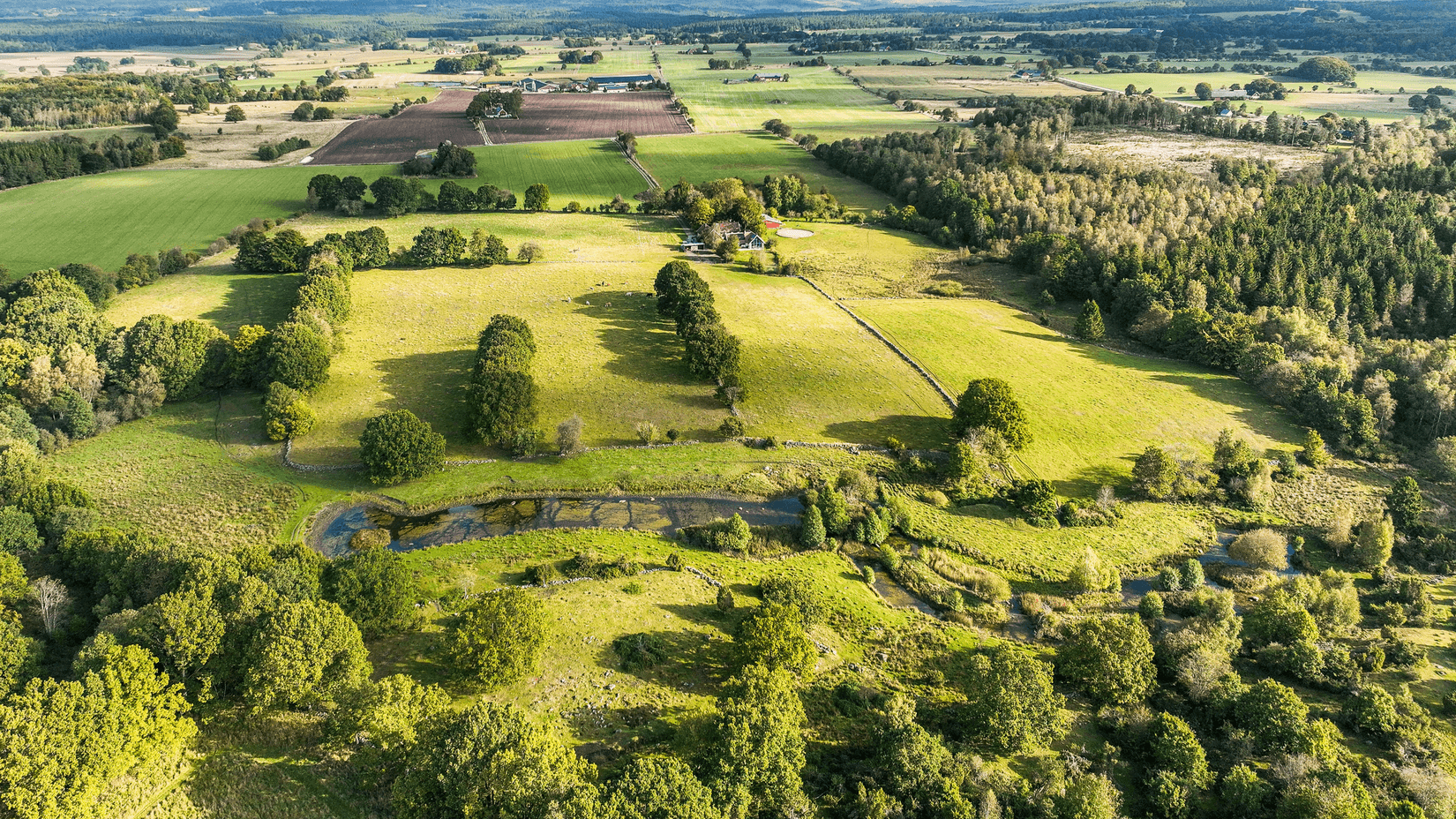 Gård/Skog, Eljaröd 4701, Tomelilla