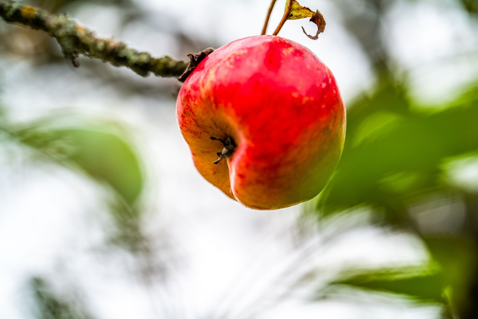 Villa, Menigasker 313, Menigasker, Örebro