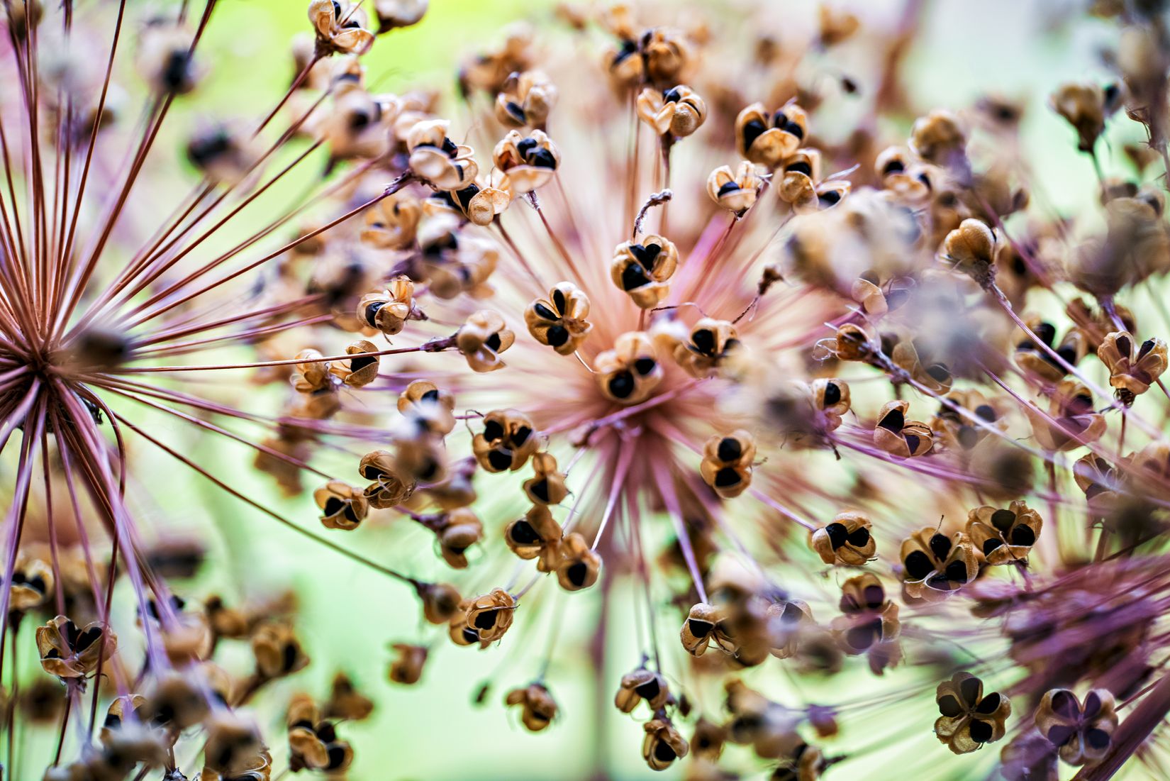 Villa, Menigasker 313, Menigasker, Örebro