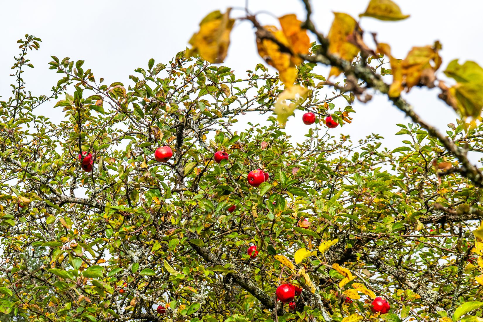 Villa, Menigasker 313, Menigasker, Örebro