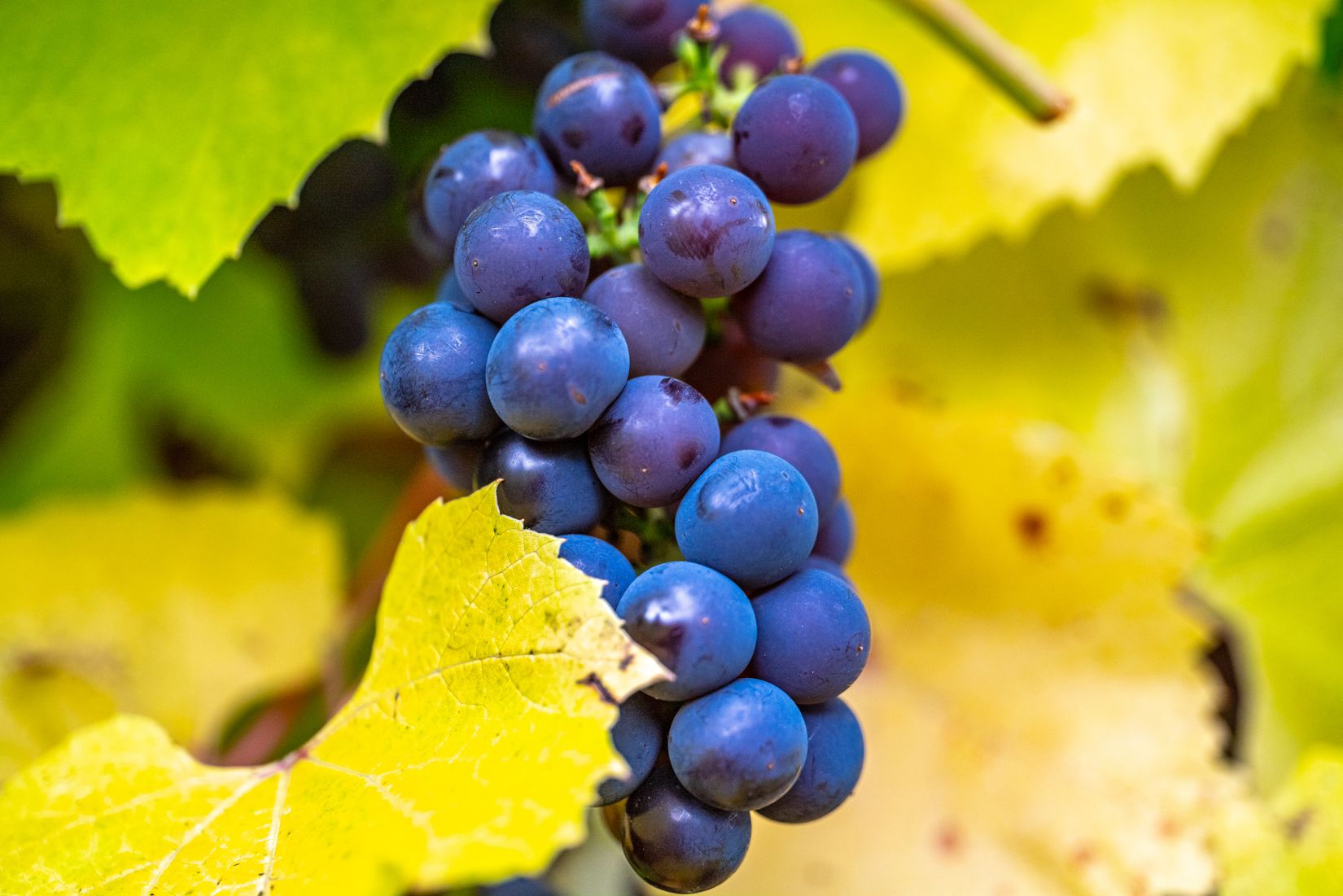 Villa, Menigasker 313, Menigasker, Örebro