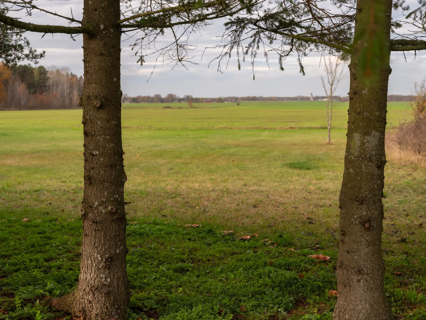 Villa, Väte Gräne 120, Väte, Gotland