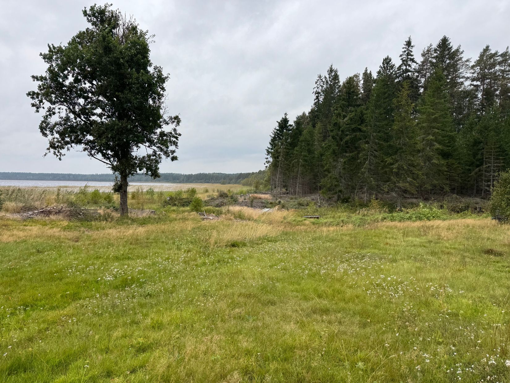 Gård/Skog, Lommossbäcken 2, Paradishyttan, Filipstad