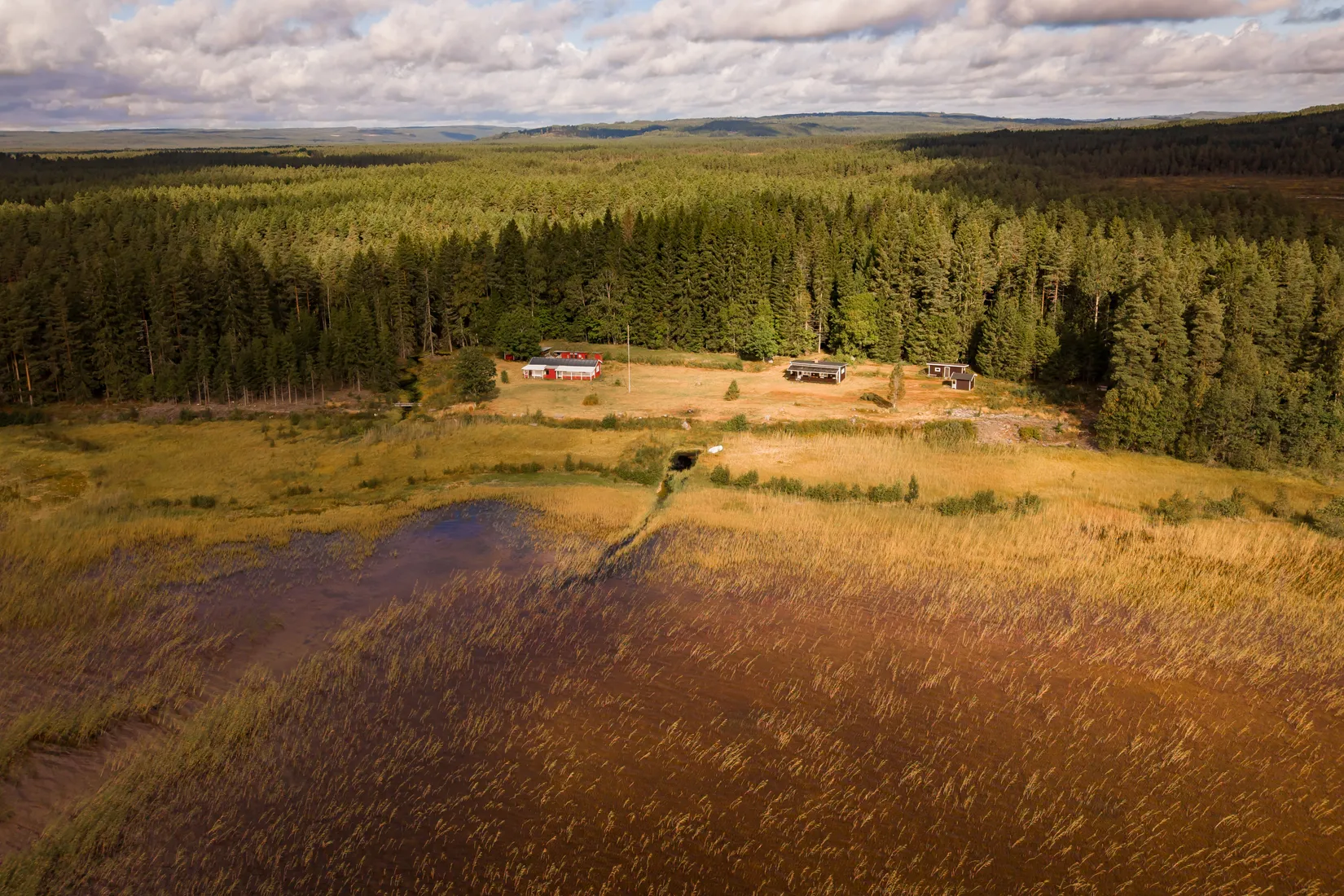 Gård/Skog, Lommossbäcken 2, Paradishyttan, Filipstad
