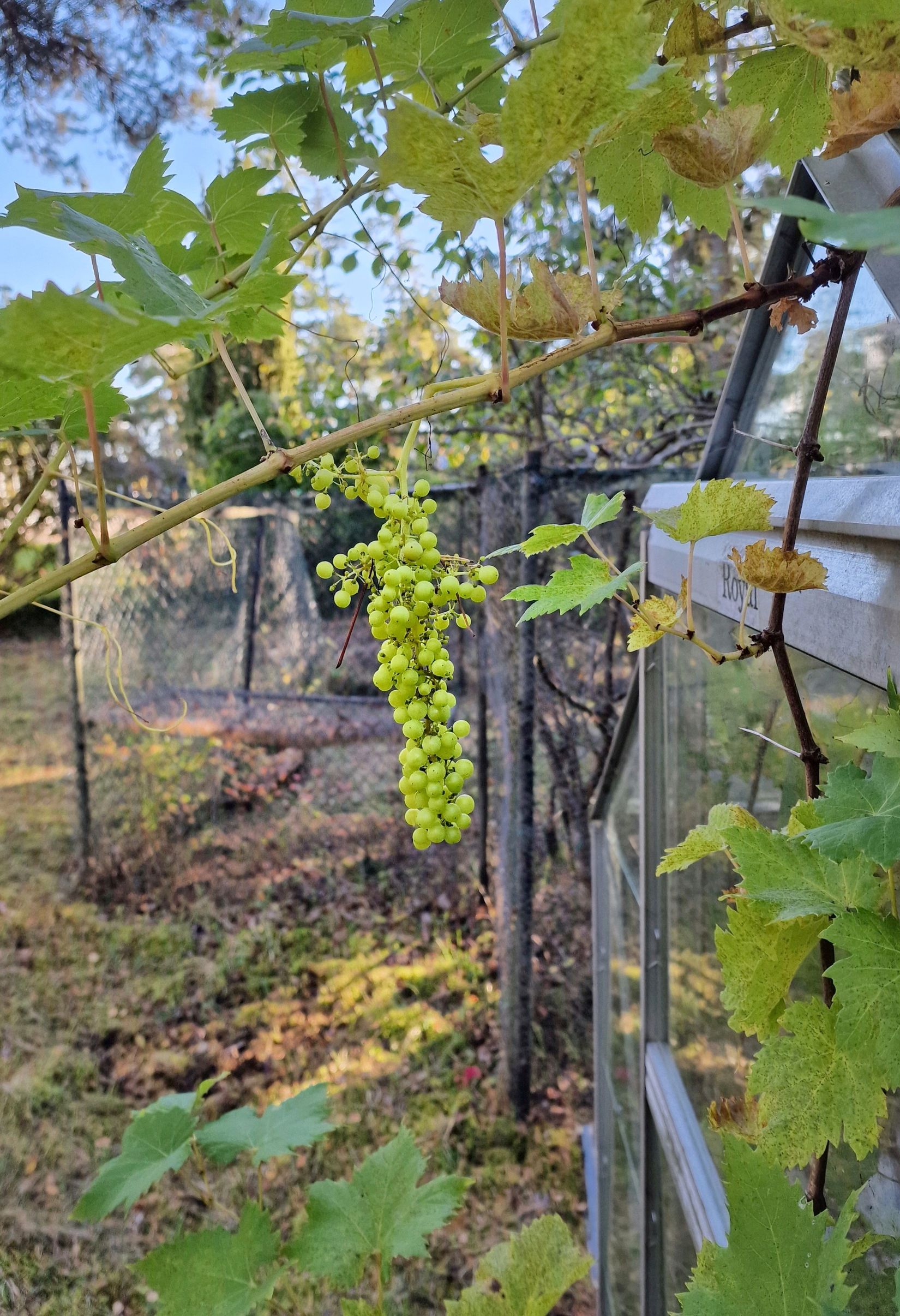 Fritidshus, Mistralvägen 4, Gotland