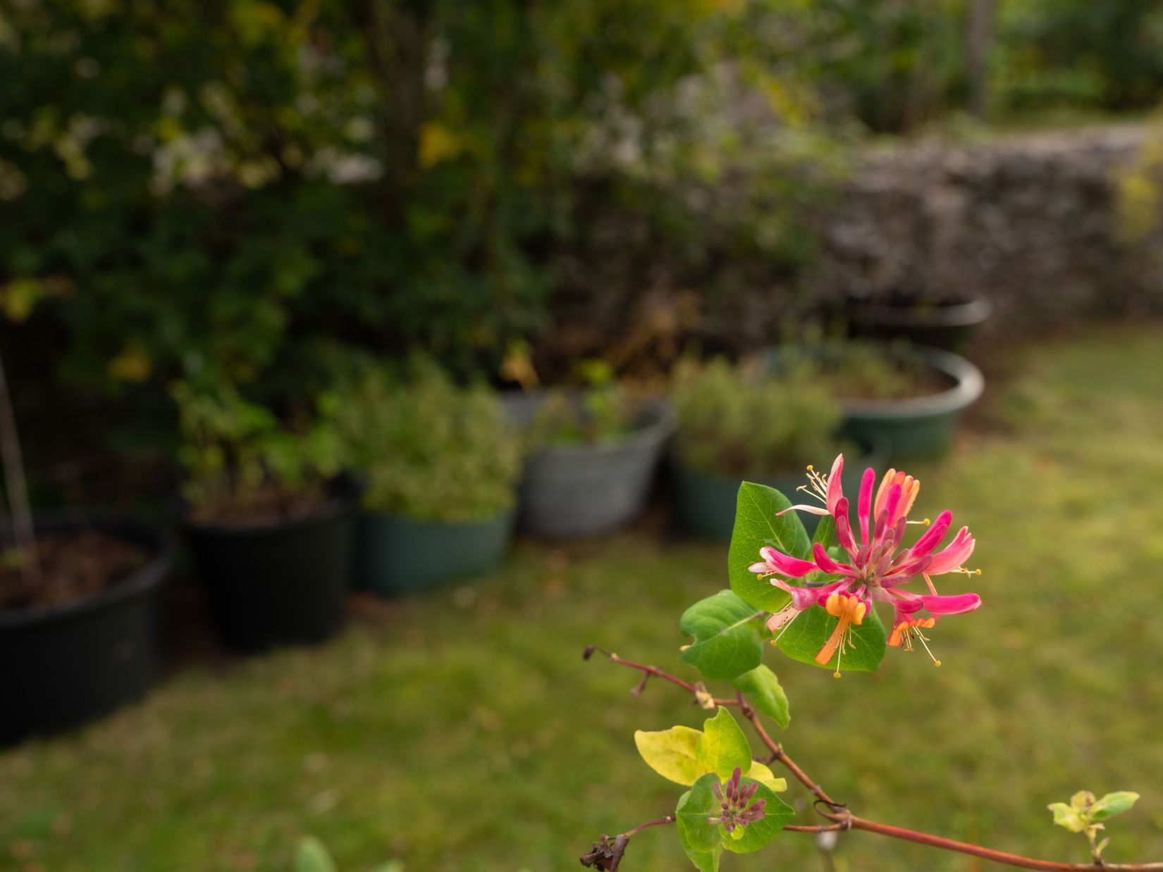 Villa, Vibble Skärvgatan 3A, Vibble, Gotland