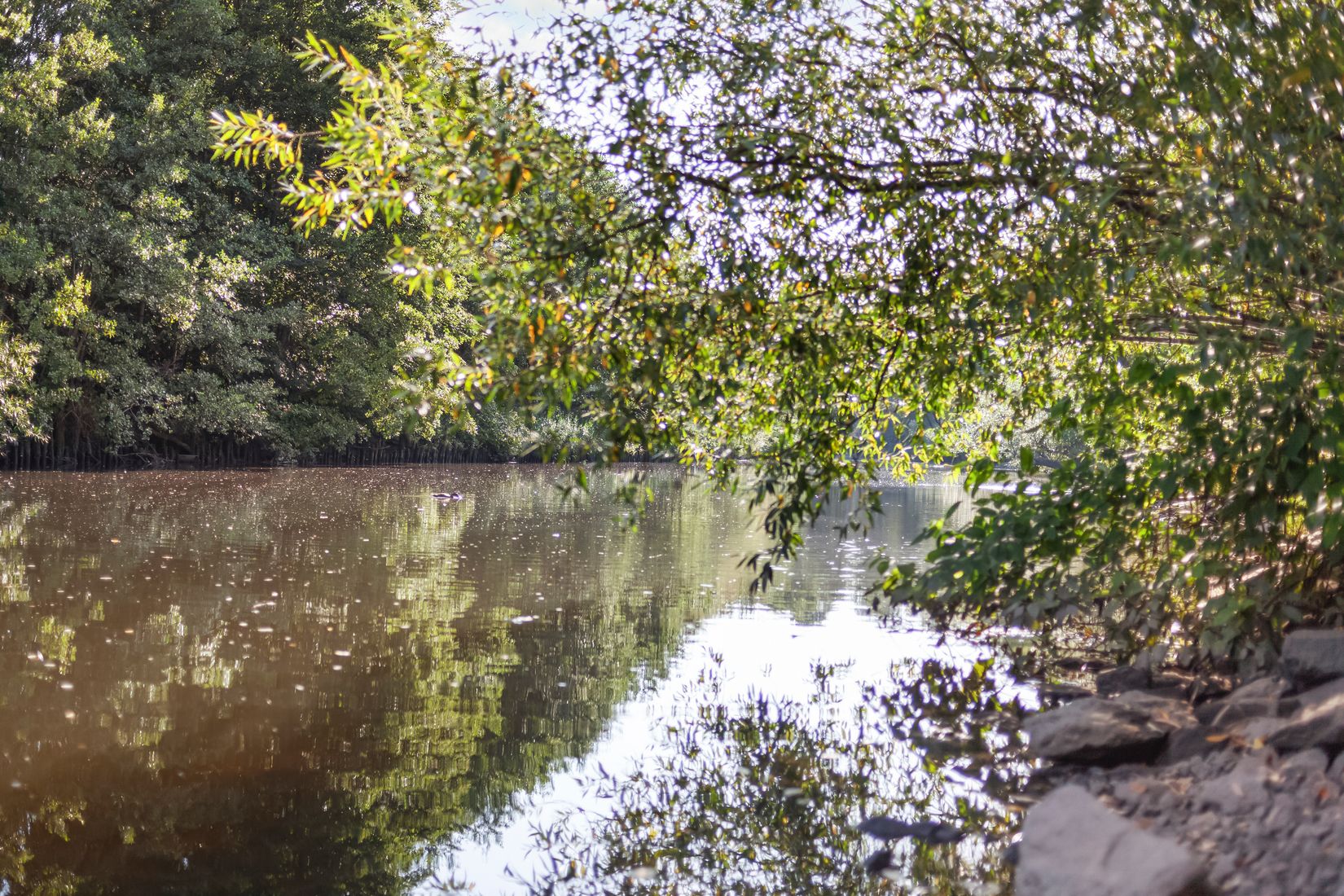 Bostadsrätt, Lars kaggsgatan 28B, Gamlestaden, Göteborg