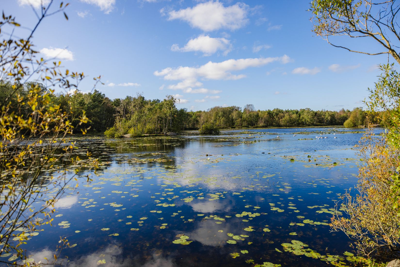 Bostadsrätt, Barometergatan 11, Länsmansgården, Göteborg