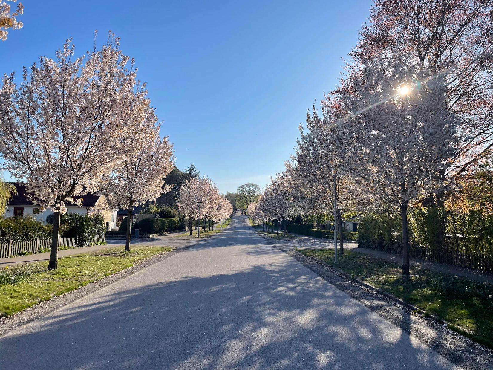 Tomt, Potatisvägen 27, Maglehill, Höör