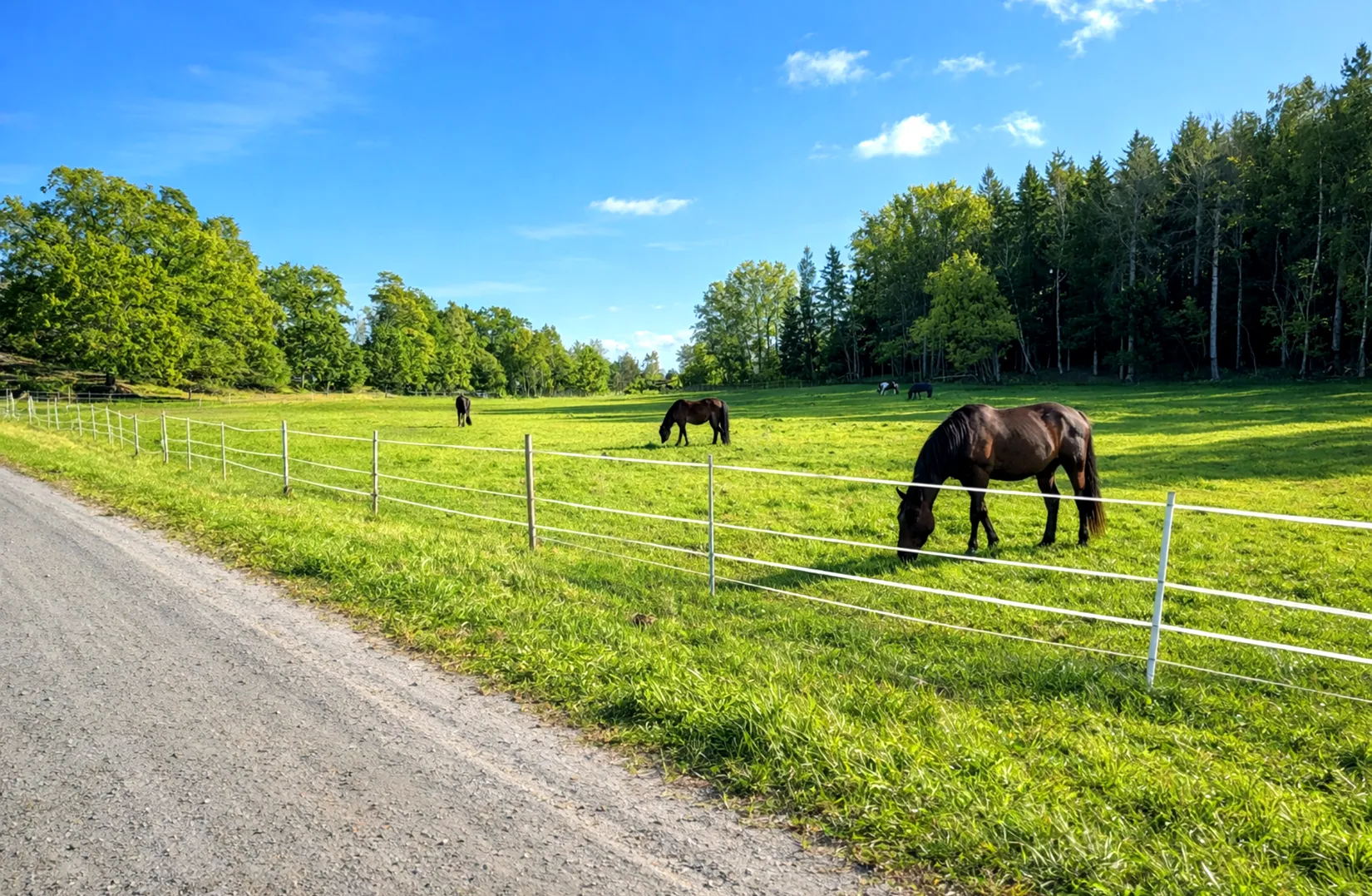 Fritidshus, Norra Rörängsslingan 5, Dyvik, Österåker