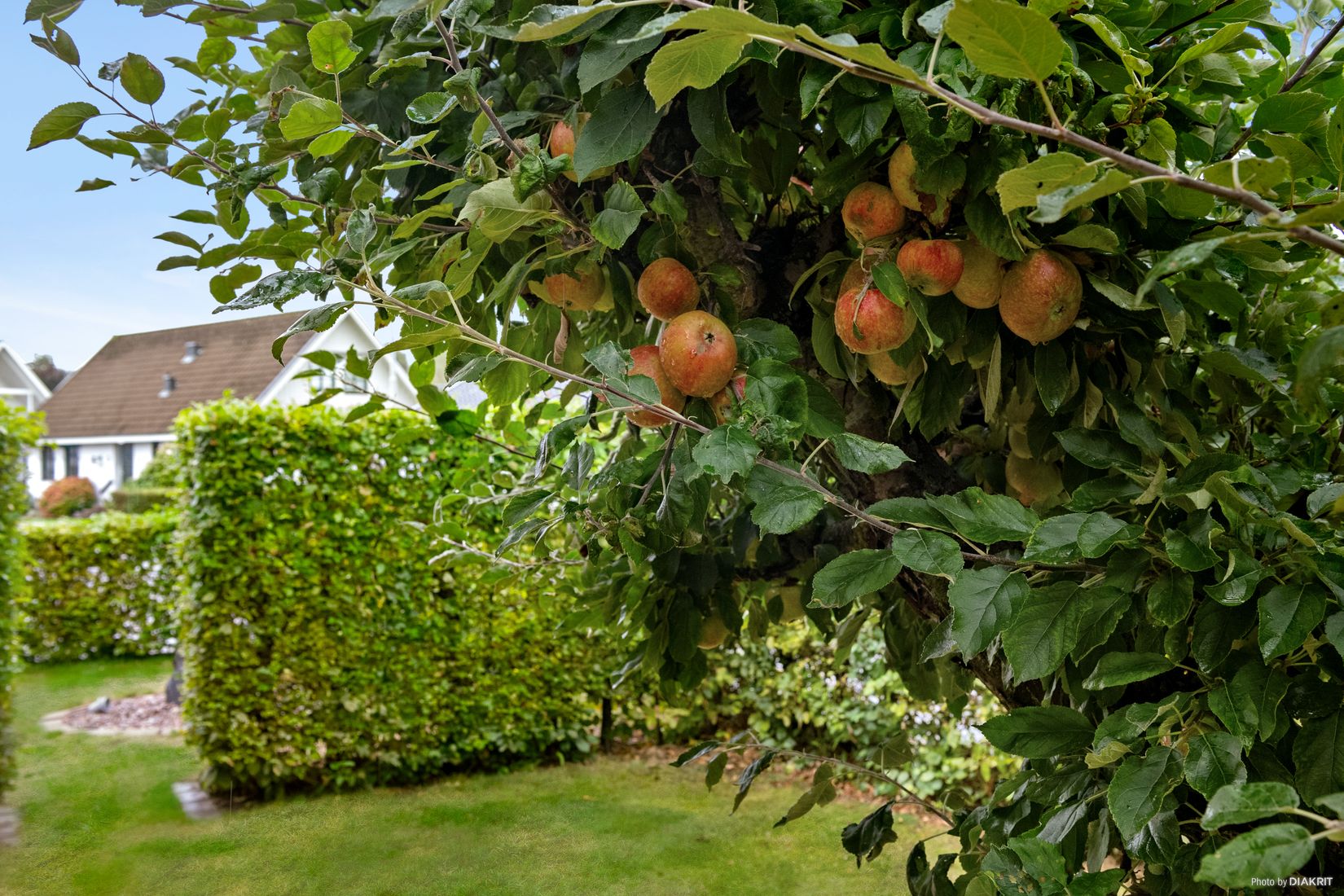 Villa, Halvbacksgatan 22, Kristianstad - Öllsjö, Kristianstad