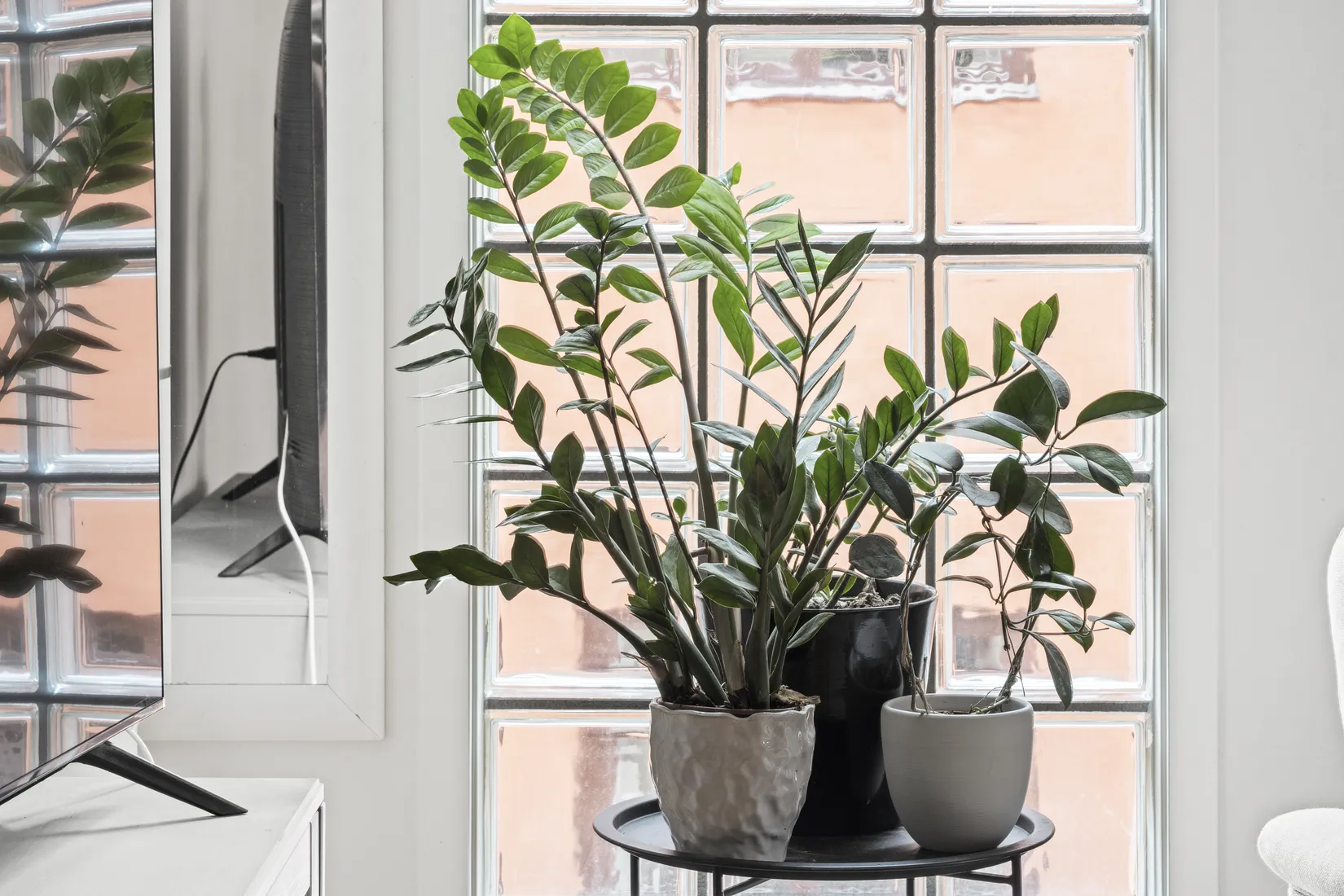 Bostadsrätt, S:t Olofsgatan 28 B, Centrum, Uppsala