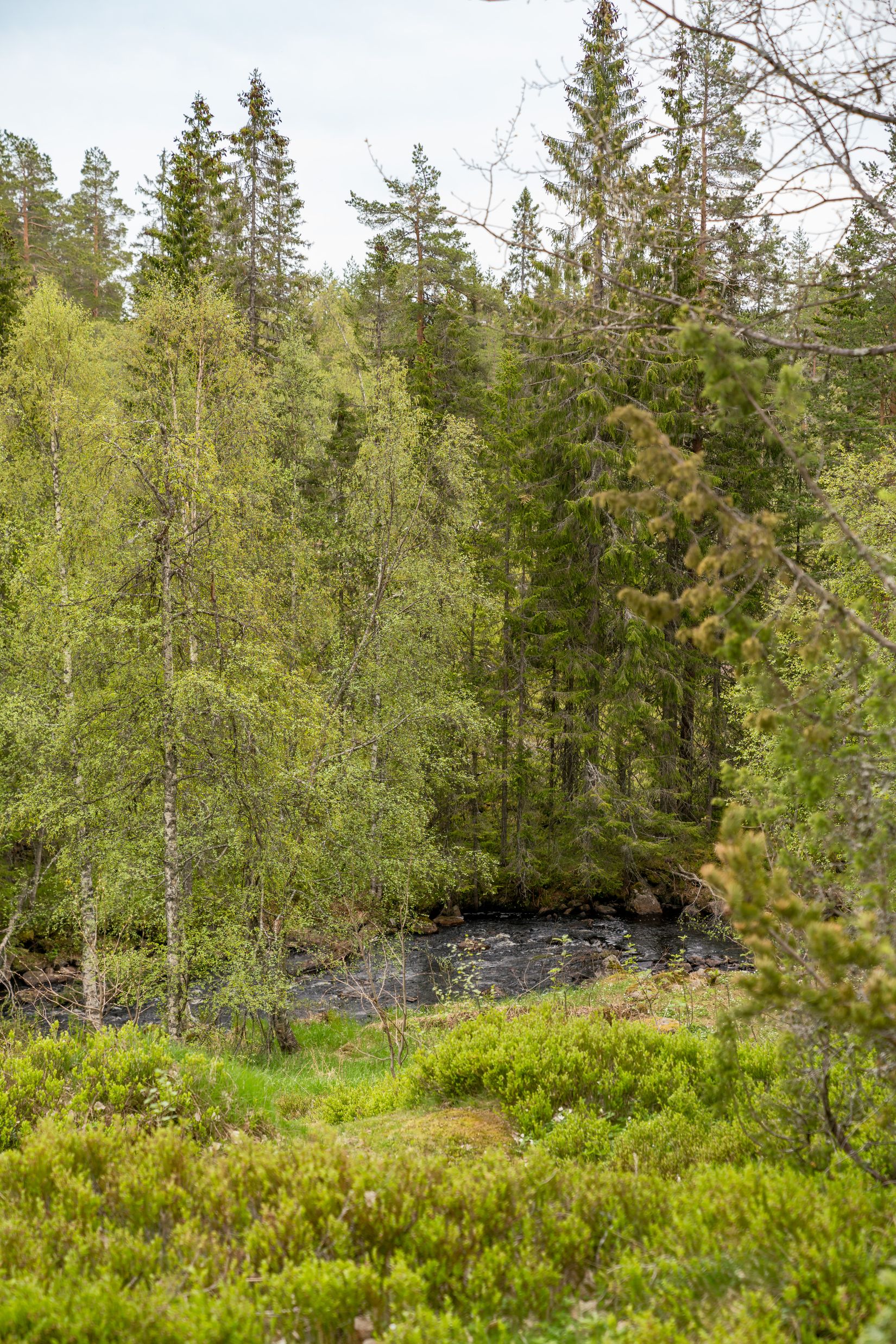 Fritidshus, Lyån 152, Malung-Sälen