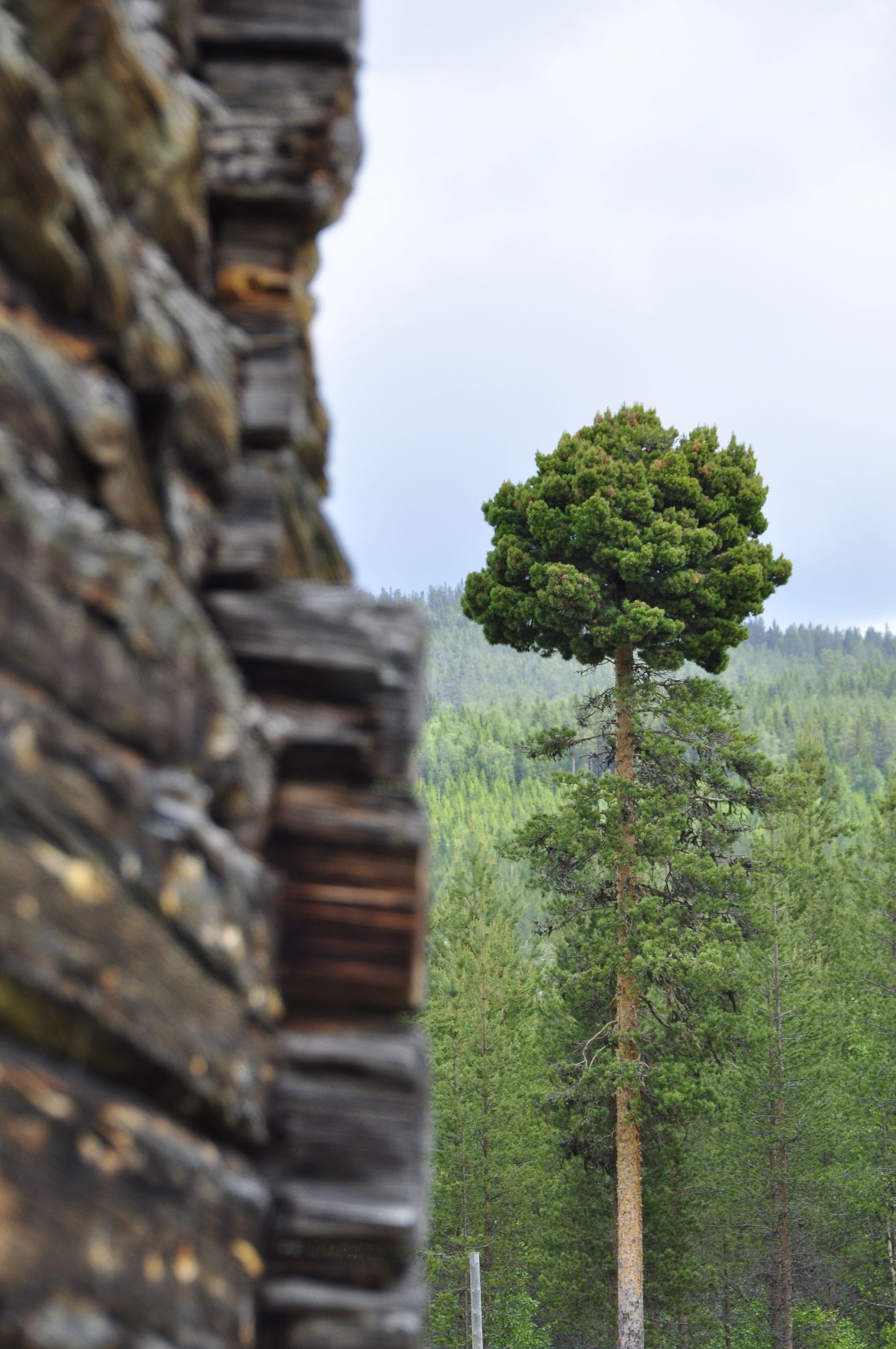 Villa, Kölvägen 11, Vemhån - Vemdalen, Härjedalen